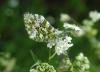 213649 – Photo : Patrick Bouvier – France (14)